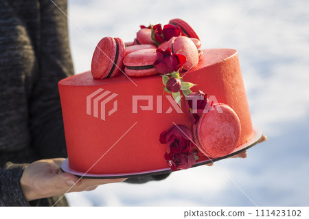 Female hands holding plate with delicious yummy homemade red cake with macarons decorated with flowers on light blurred copy space background. Female hands holding plate with delicious yummy homemade red cake with macarons decorated with flowers on light blurred copy space background. 111423102