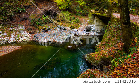 上大石峽谷美麗的秋葉 111423319
