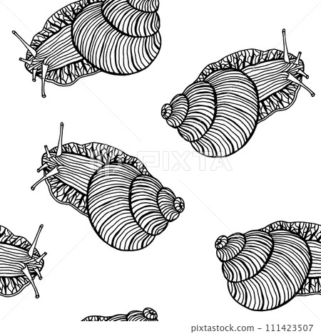 Black and White Hand Drawn Snails Brown and Beige Line Art Black and White Hand Drawn Snails Brown and Beige Line Art 111423507