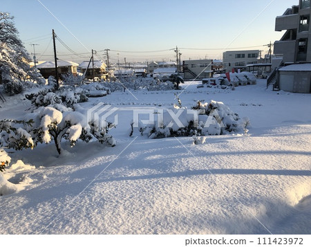 白雪皚皚的公園和藍天 白雪皚皚的公園和藍天 111423972
