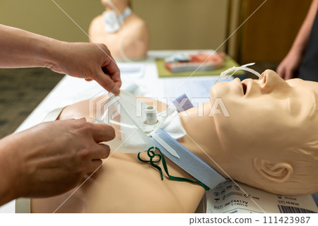 A Person Putting Oxygen On A Mannequin Person's Hand Holding A Tube. 111423987