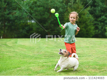 Fun game at backyard with a dog. Girl uses a ball thrower to play fetch with a pet 111424083