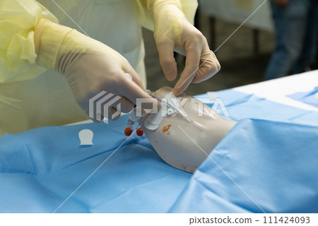 A Person In Gloves Putting A Needle On A Mannequin. 111424093