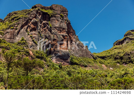 Scenic Morro dos Cabritos rock or canyon with araucaria trees on sunny day in Brazil 111424698