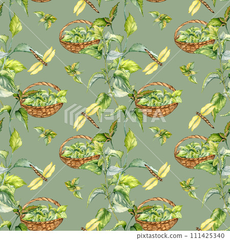 Nettle herbal plant with basket watercolor seamless pattern isolated on blue. Illustration of stinging plant and dragonfly hand drawn. Print of useful herb. Design for textile, package, wallpaper Nettle herbal plant with basket watercolor seamless pattern isolated on blue. Illustration of stinging plant and dragonfly hand drawn. Print of useful herb. Design for textile, package, wallpaper 111425340