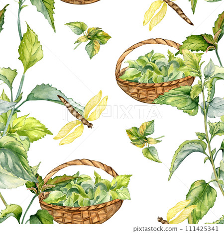 Nettle herbal plant with basket watercolor seamless pattern isolated on white. Illustration of stinging plant and dragonfly hand drawn. Print of useful herb. Design for textile, package, wallpaper 111425341