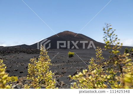 Volcanic landscape on sunny day in Tenerife. Volcanic landscape on sunny day in Tenerife. 111425348