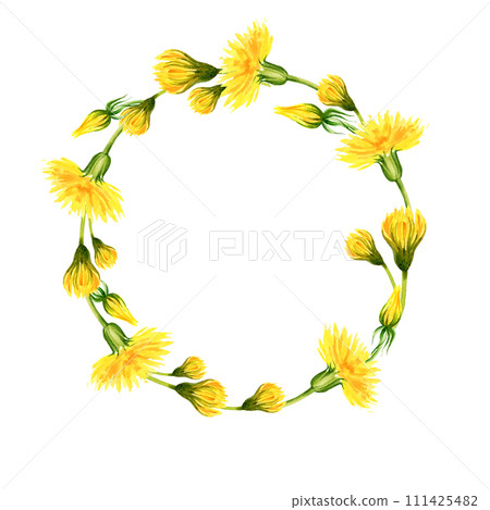 watercolor wreath with summer and spring yellow dandelion, hand draw summer field flowers, buds and herbs, sketch of spring yellow flowers on white background 111425482