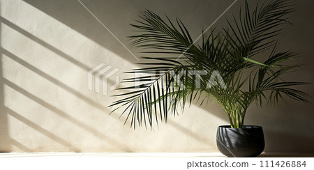 Green tropical palm leaf on isolated pastel background. Space for text 111426884