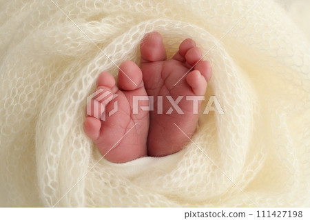The tiny foot of a newborn baby. Soft feet of a new born in a wool white blanket. Close up of toes, heels and feet of a newborn. Macro photography. The tiny foot of a newborn baby. Soft feet of a new born in a wool white blanket. Close up of toes, heels and feet of a newborn. Macro photography. 111427198