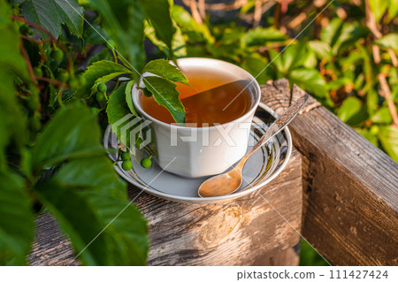 White porcelain tea cup on the wooden balcony green wild grapes background. Warm healthy herbal drink.Weekend breakfast. 111427424