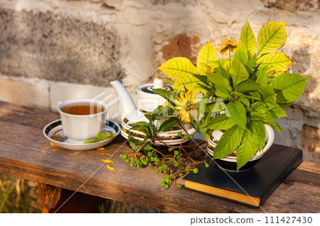 Book, autumn leaves flowers, tea cup on wooden bench, green wild grape branch. Warm herbal drink.White porcelain tea-set 111427430