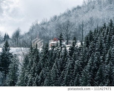 Misty winter Carpathian Mountains view fog landscape. Snowy spruce pine forest in Carpathians. Fir trees with white snow Misty winter Carpathian Mountains view fog landscape. Snowy spruce pine forest in Carpathians. Fir trees with white snow 111427471