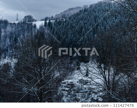 Misty winter Carpathian Mountains view fog landscape. Snowy spruce pine forest in Carpathians. Fir trees with white snow 111427478