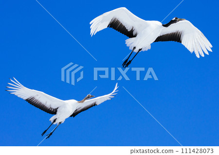 Flying crane 111428073