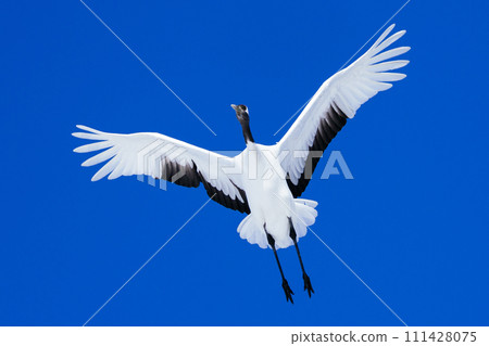 Flying crane 111428075