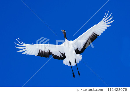 Flying crane 111428076