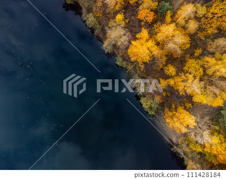 Autumn aerial look down on river in yellow forest Autumn aerial look down on river in yellow forest 111428184