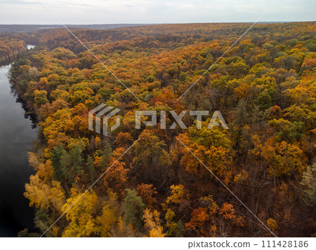 Autumn aerial view on colorful forest near river Autumn aerial view on colorful forest near river 111428186