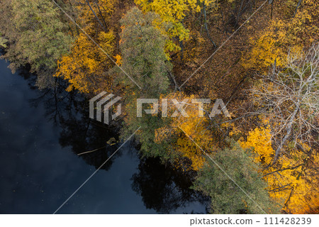 Autumn aerial look down on river in yellow forest Autumn aerial look down on river in yellow forest 111428239