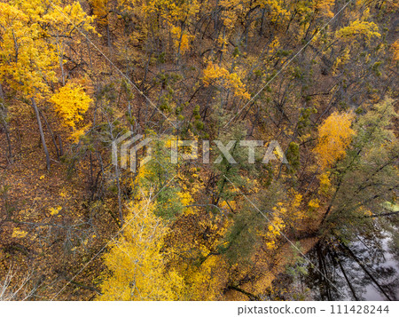 Autumn aerial look down on river in yellow forest Autumn aerial look down on river in yellow forest 111428244
