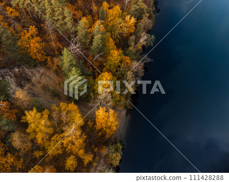 Autumn aerial look down on river in golden forest 111428288