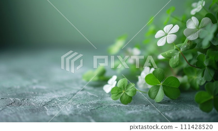 Minimalist setup accentuated by subtle shamrock motifs Minimalist setup accentuated by subtle shamrock motifs 111428520