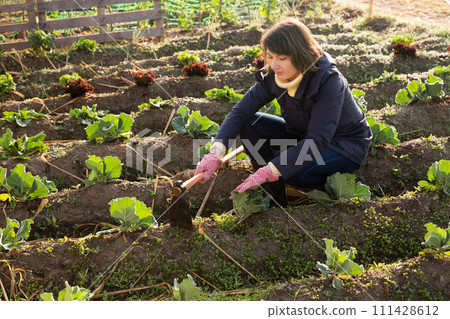 Young woman using a chopper treats the beds 111428612