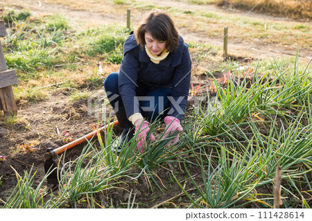 Woman working in garden 111428614