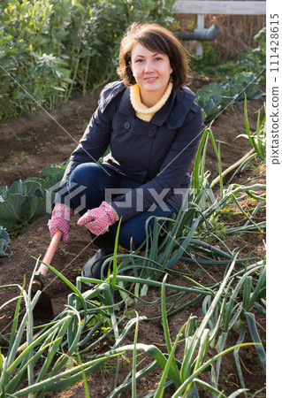 Young woman with hoe in the garden with green onions Young woman with hoe in the garden with green onions 111428615