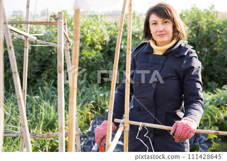 Young woman gardener with bamboo stick working with seedlings Young woman gardener with bamboo stick working with seedlings 111428645