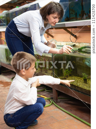 Saleswoman catching fish for customer Saleswoman catching fish for customer 111428700