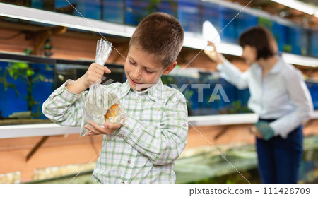 Preteen boy with goldfish Preteen boy with goldfish 111428709