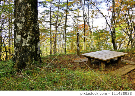 Tanzawa Road: Himetsugu, where the Tanzawa Main Line and Tokai Nature Trail pass 111428928
