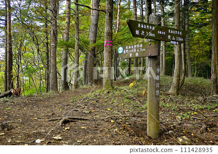 丹澤道路、丹澤主脈、青根山支線 111428935