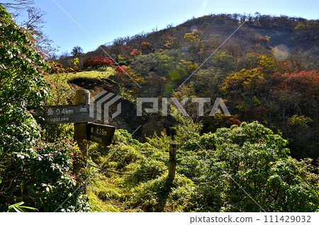 Tanzawa Mountains in autumn leaves, Mt. Hirugatake in autumn colors Tanzawa Mountains in autumn leaves, Mt. Hirugatake in autumn colors 111429032