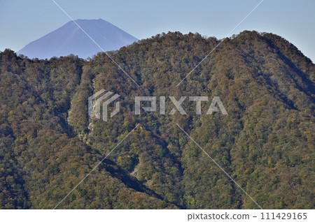 Tanzawa Mountains in autumn leaves, view of Mt. Fuji and Nishitanzawa from Mt. Hirugatake 111429165