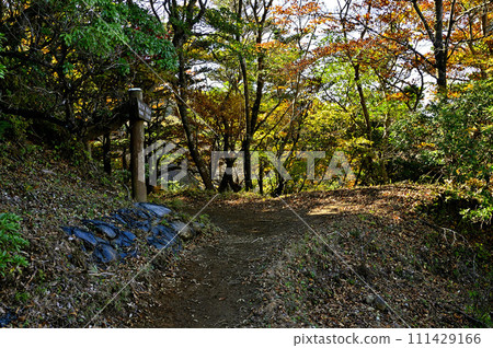 Tanzawa Mountains, the summit of Mt. Jizo in the Tanzawa main vein 111429166