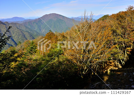 Tanzawa Mountains in autumn leaves, view of Mt. Omuro from Mt. Hirugatake 111429167