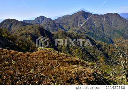 從丹澤山嶽山眺望與富士山重疊的紅葉檜木洞丸。 111429180