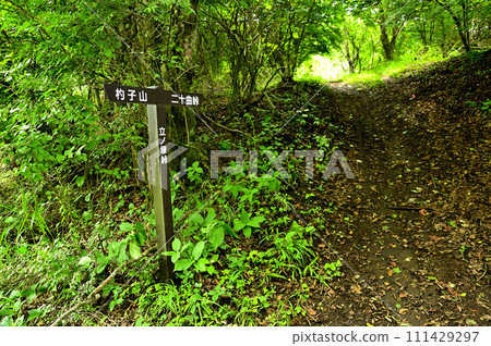 Tatenotsuka Pass in the Doshi Mountain Massif Morinotoge Road Tatenotsuka Pass in the Doshi Mountain Massif Morinotoge Road 111429297