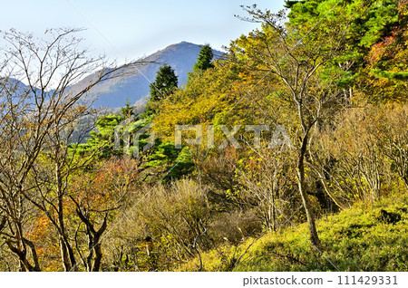 Autumn Tanzawa Mountains, view of Mt. Hirugatake from the summit of Mt. Hatchozakanokashira 111429331