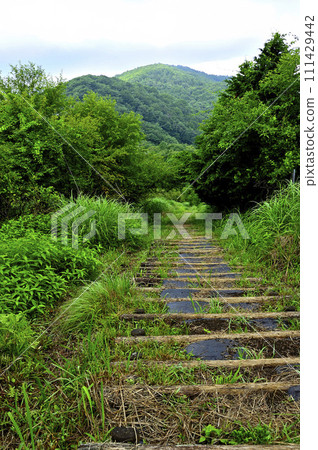 Doshi Mountain Massif: View of Mt. Okubo and Mt. Imo in summer from Mt. Hirao 111429442