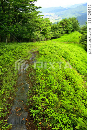 道子山地塊的石割山 石割山東北山脊的山路，夏天長滿青草 111429452
