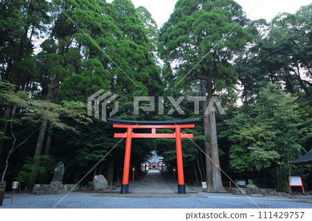 霧島神社 111429757