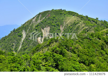 從丹澤山地的不動峰看到綠色的白岳 從丹澤山地的不動峰看到綠色的白岳 111429876