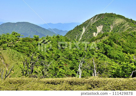 從丹澤山脈的不動峰看到的綠色山脈：大室山和日山 111429878