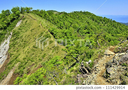 從丹澤不動礦場看到的丹澤主脈的綠色橫斷：田澤之香、白嶽山、鬼岩之香 111429914
