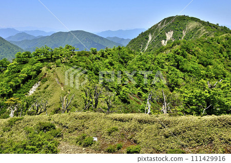 從丹澤不動峰、大室山、日山看到的丹澤主脈的綠色橫斷 111429916
