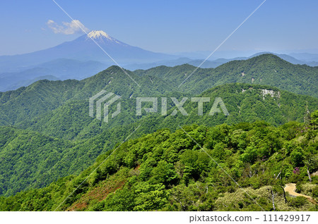 從丹澤不動峰看到的富士山和初夏的青山 111429917